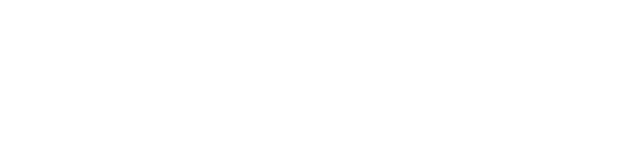 Partido Novo